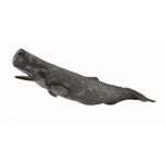 Balena Casalot - Collecta fotografia produsului