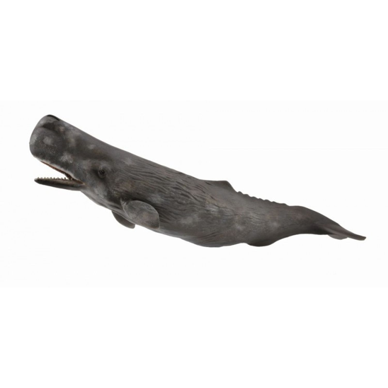 Balena Casalot - Collecta fotografia produsului