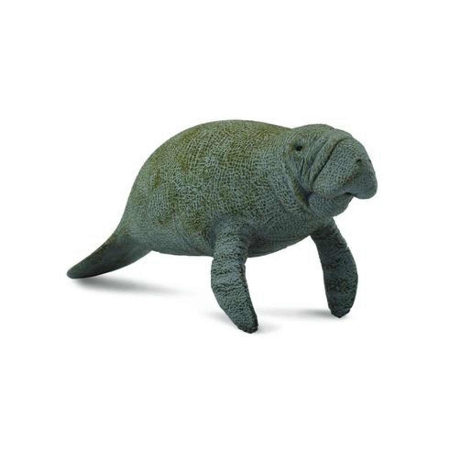 Lamantinul - Collecta fotografia produsului