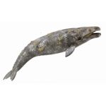 Balena Gri - Collecta fotografia produsului