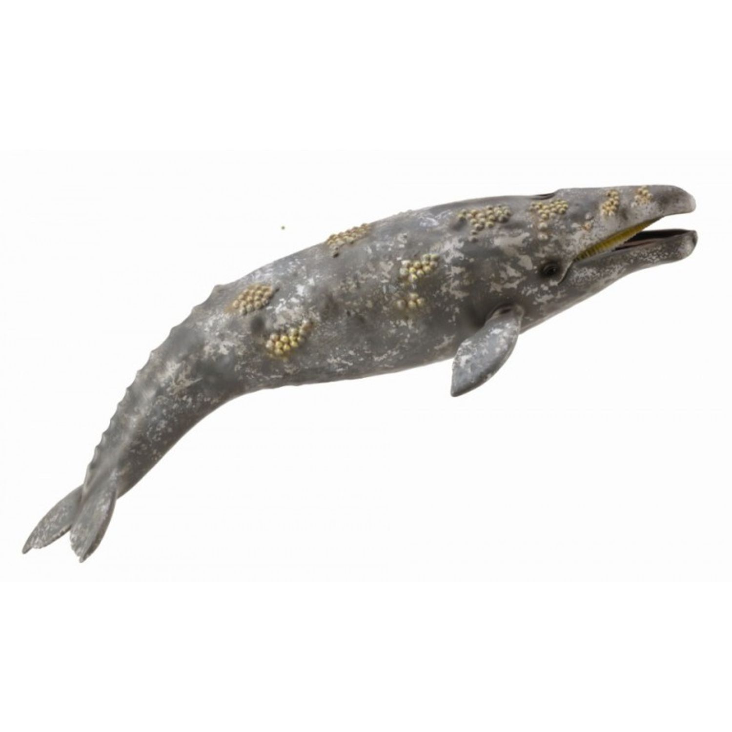 Balena Gri - Collecta fotografia produsului