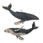 Balena cu cocoasa - Collecta fotografia produsului