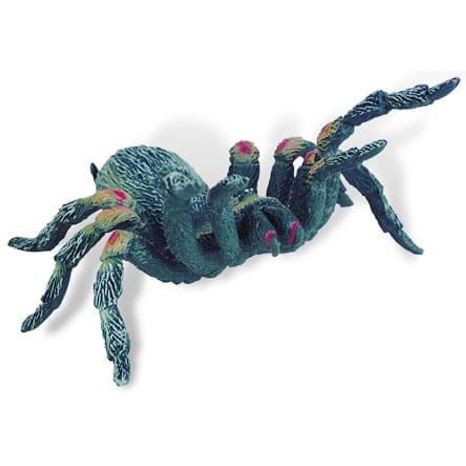 Tarantula fotografia produsului