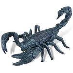 Scorpion fotografia produsului