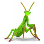 Calugarita - Collecta fotografia produsului