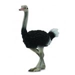 Figurina Strut L Collecta fotografia produsului