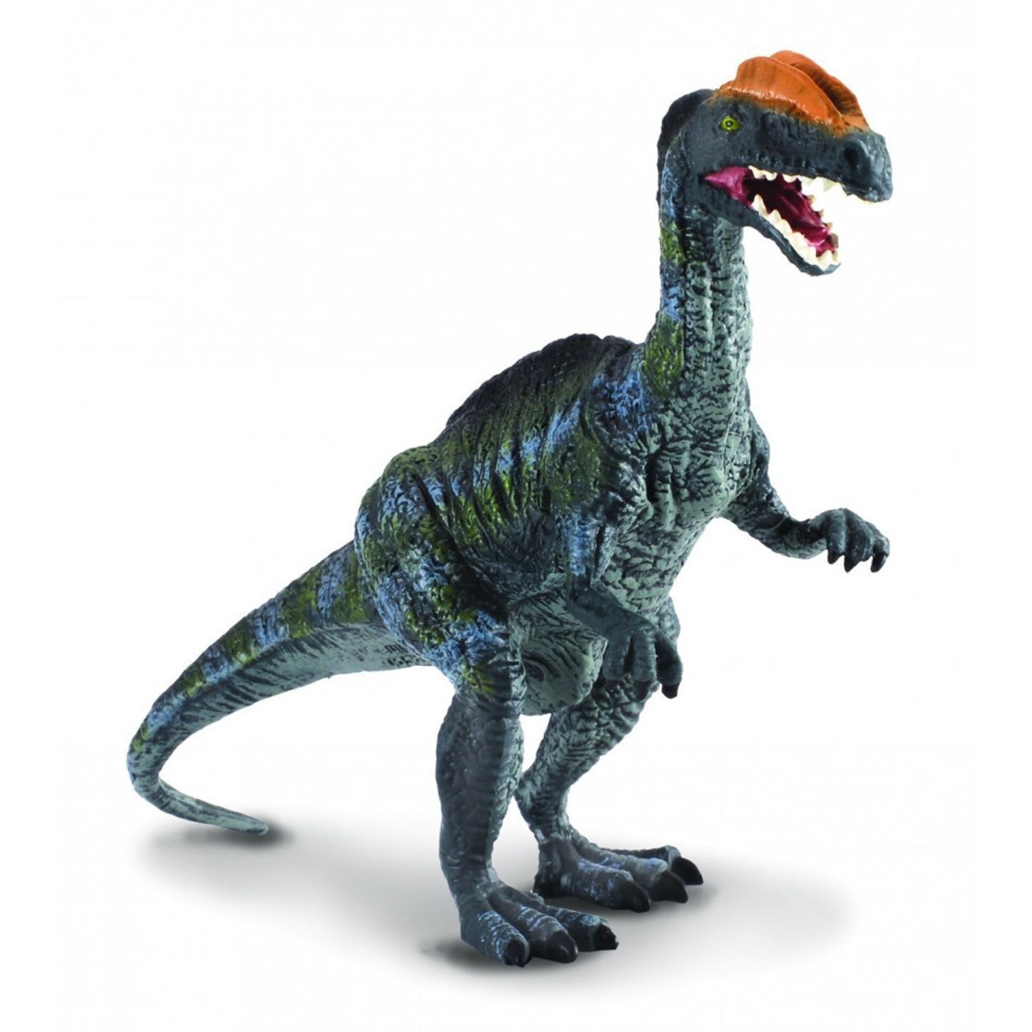 Figurina Dilophosaurus (Blue) L Collecta fotografia produsului