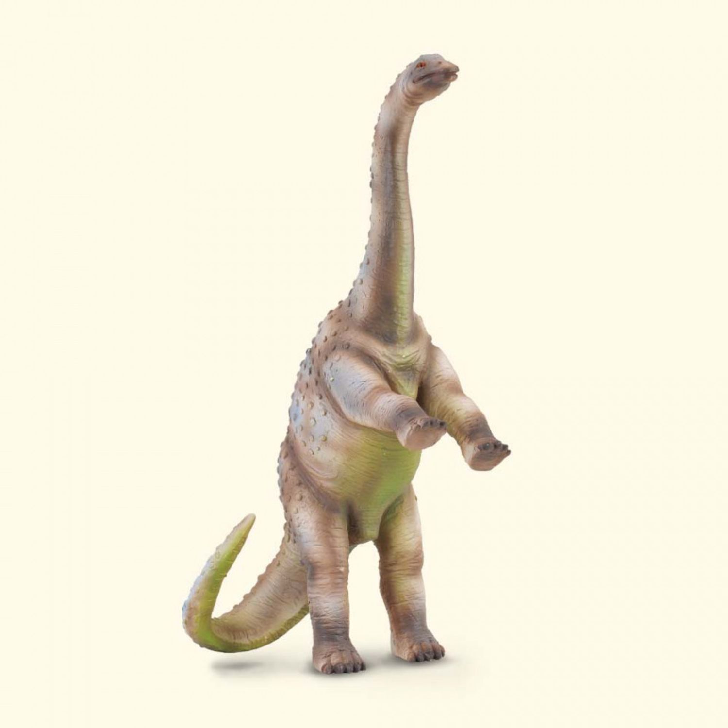 Rhoetosaurus - Collecta fotografia produsului