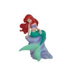 Ariel pe stanca fotografia produsului