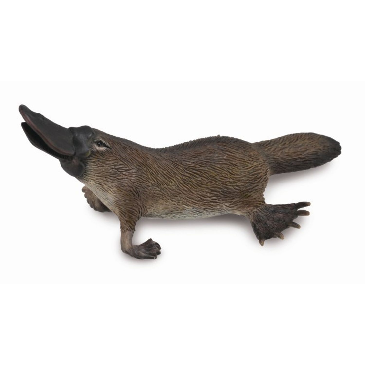 Figurina Platypus M Collecta fotografia produsului