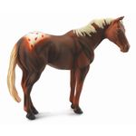 Armasar Castaniu - Collecta fotografia produsului