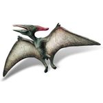 Pteranodon fotografia produsului
