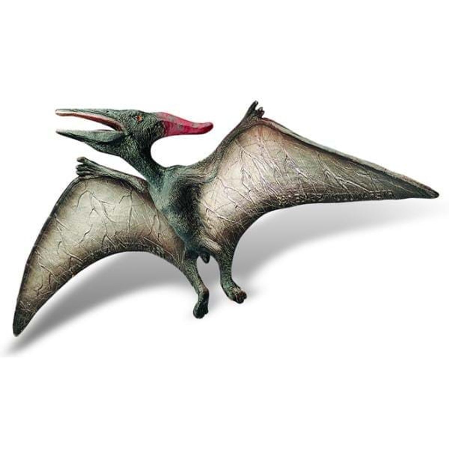 Pteranodon fotografia produsului