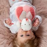 Pernuta anticolici - Broscuta testoasa fotografia produsului View 4 S
