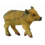 Porc mistret mergand - Collecta fotografia produsului