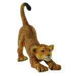 Figurina Pui de leu care se intinde S Collecta fotografia produsului