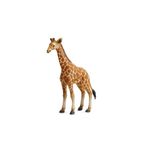 Figurina Pui de Girafa L Collecta fotografia produsului