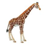 Girafa mascul fotografia produsului