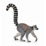 Lemur cu coada-inel - Collecta fotografia produsului