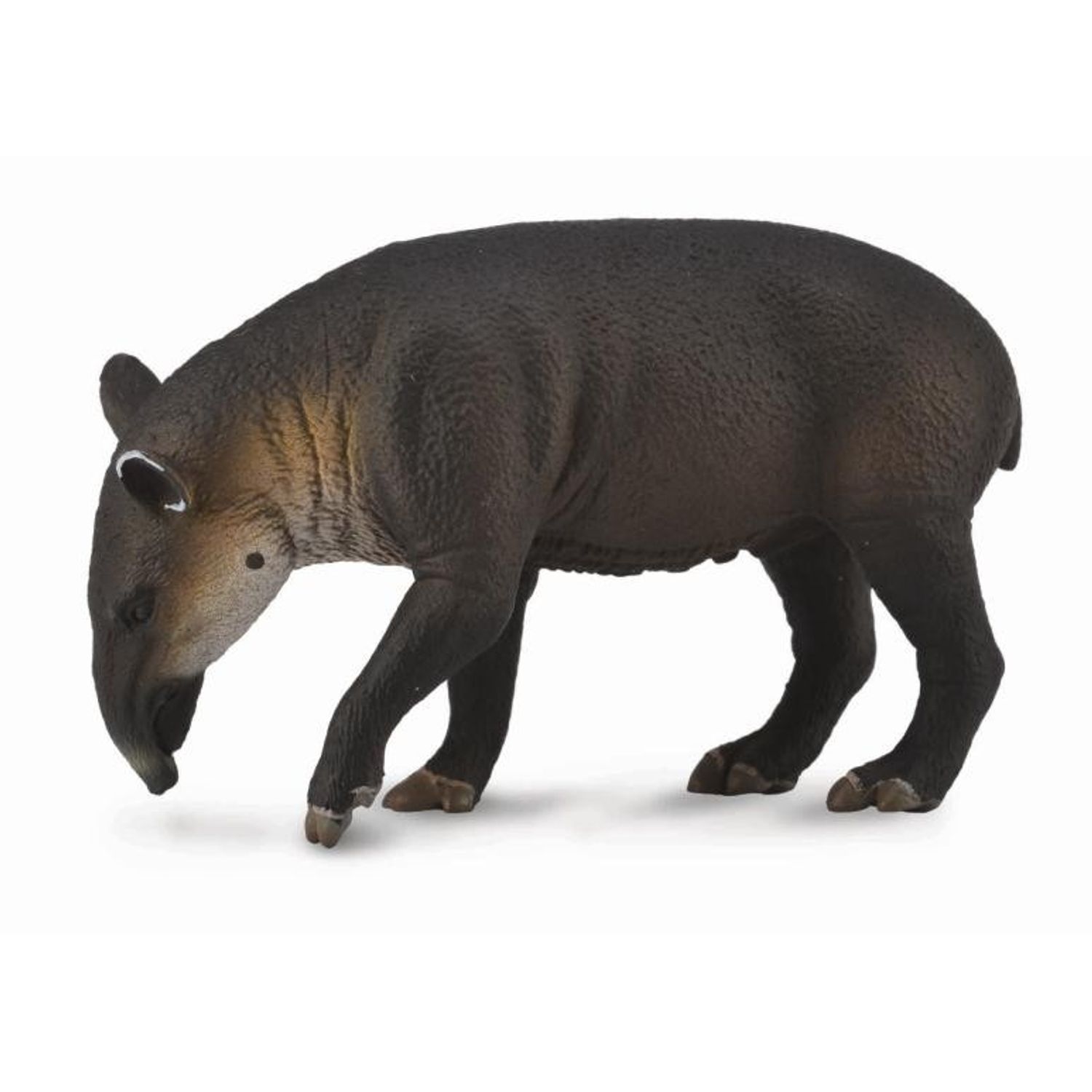 Figurina Tapir Baird L Collecta fotografia produsului