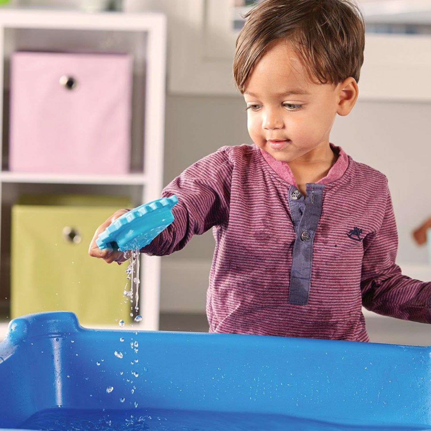 Piramida curcubeu - Ariciul Spike fotografia produsului View 7 L