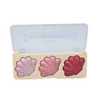 Paleta iluminatoare, Makeup, Eni Rose, Baking Powder, 01 fotografia produsului View 6 S