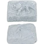 Set mic paleontologie Dino Wolrd fotografia produsului View 2 S