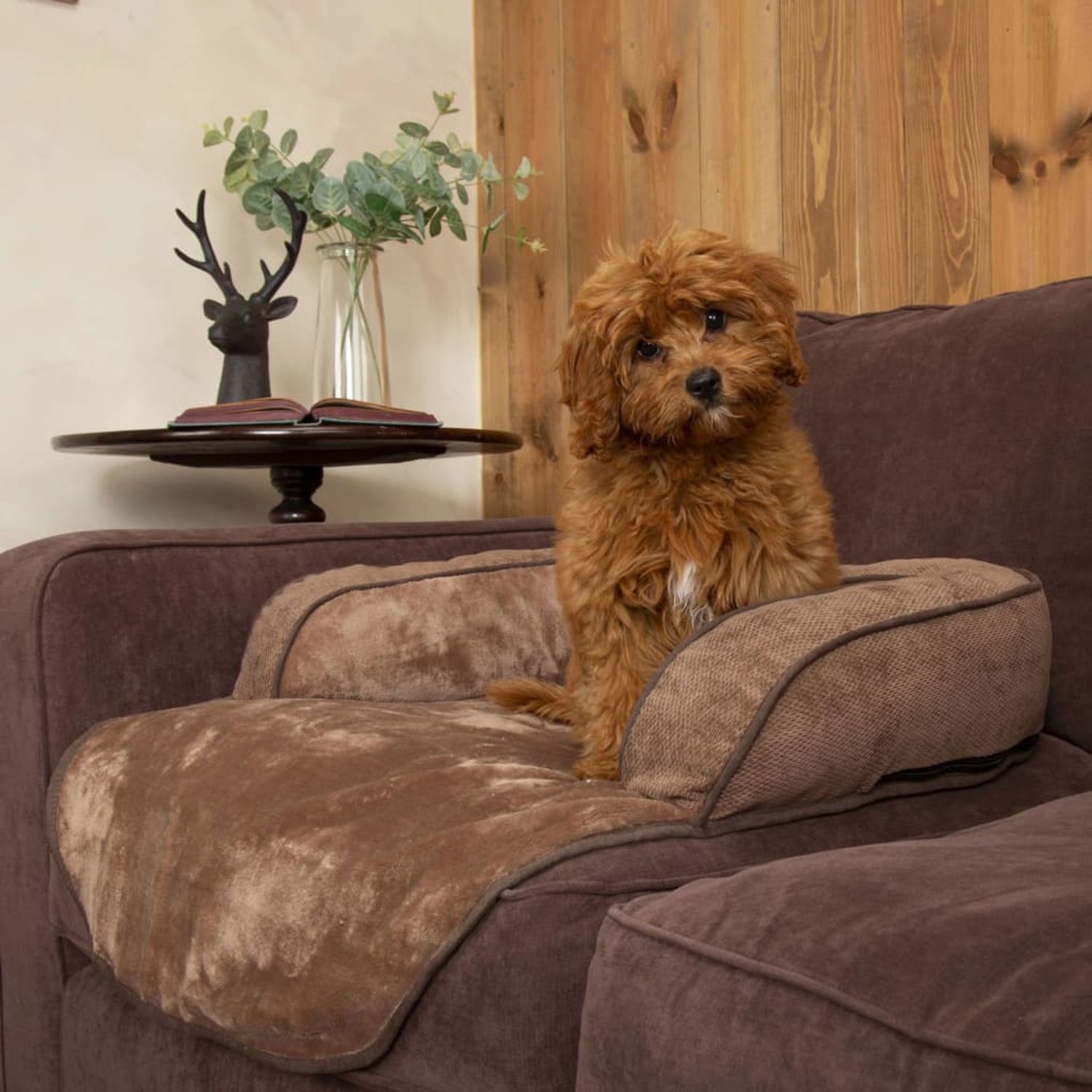 Scruffs Canapea extensibilă pentru animale de companie Chester Choco L fotografia produsului
