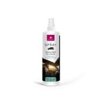 Spray auto &bdquo;Absoarbe mirosurile&rdquo;, Briza marina 100 ml fotografia produsului