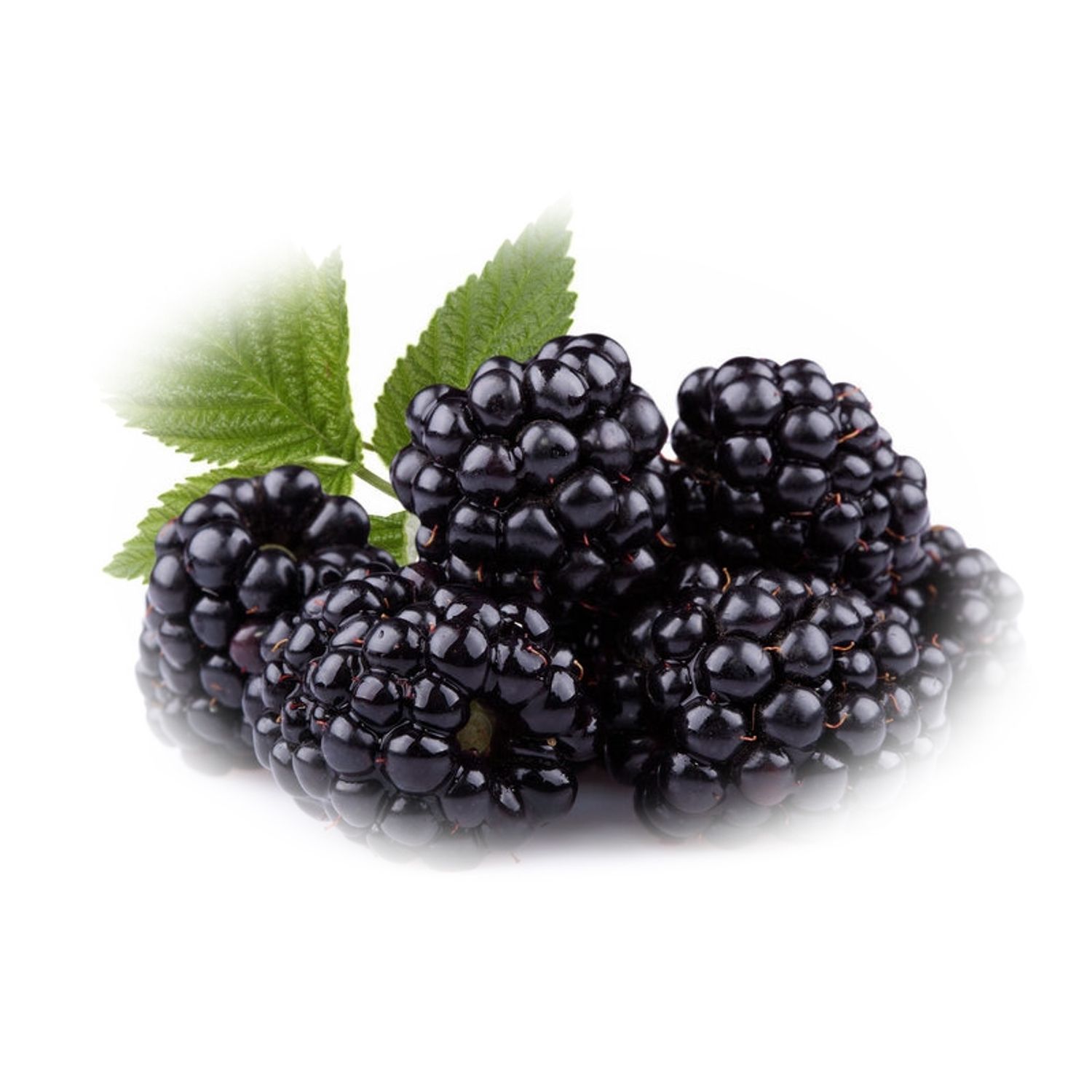 Esenta naturala (ulei) difuzor aromaterapie Mure, SyS Aromas 12 ml fotografia produsului View 3 L