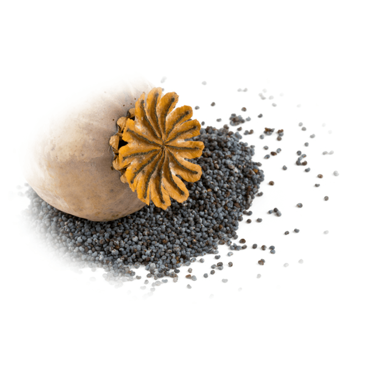Esenta naturala (ulei) aromaterapie SyS Aromas - Opium 12 ml fotografia produsului View 2 L