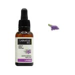 Ulei esential 100% pur Lavanda Labnatur Bio 30 ml fotografia produsului View 3 S