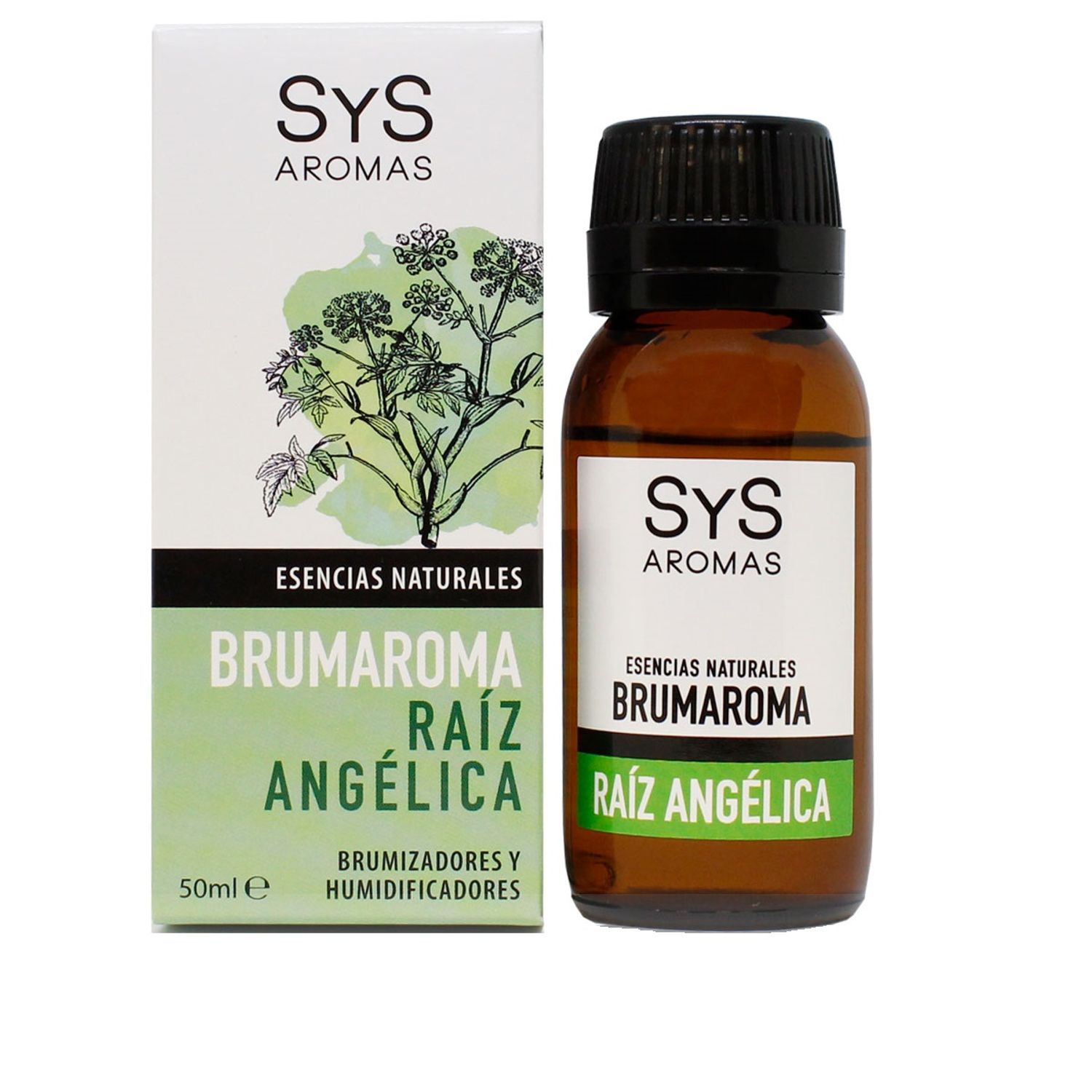Esenta naturala Brumaroma difuzor/umidificator SyS Aromas - Angelica 50 ml fotografia produsului