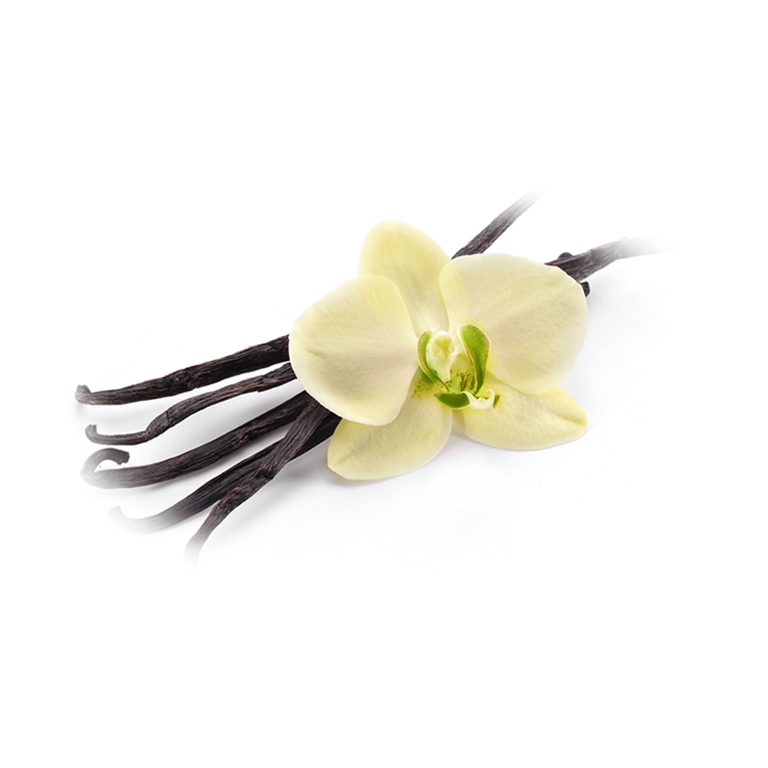 Esenta naturala Brumaroma difuzor/umidificator SyS Aromas - Vanilie 50 ml fotografia produsului View 2 L