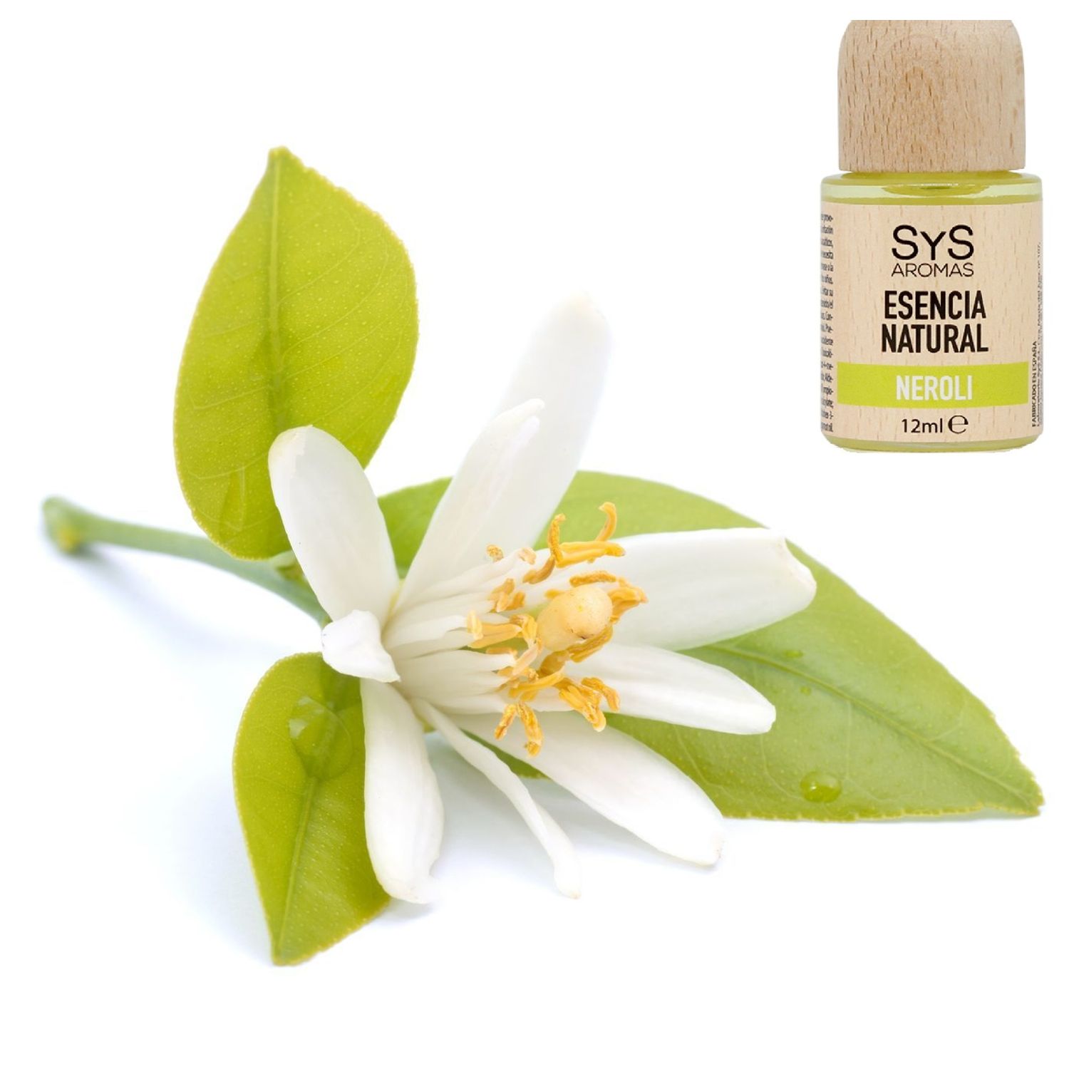 Esenta naturala (ulei) difuzor aromaterapie SyS Aromas, Neroli 12 ml fotografia produsului View 4 L
