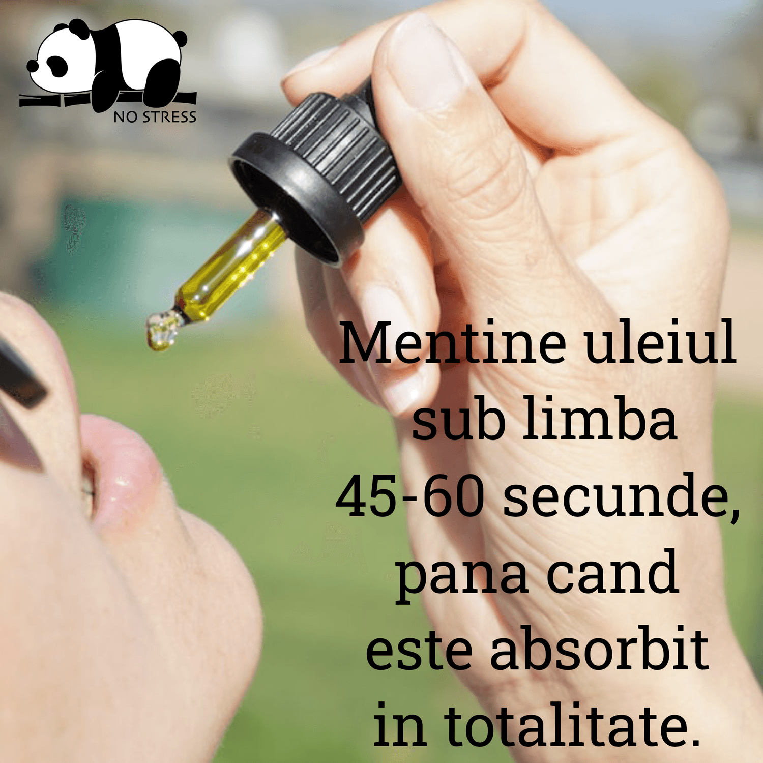Ulei MCT , 10 ml, cu aroma de menta, 33.3 % CBD No Stress fotografia produsului View 5 L