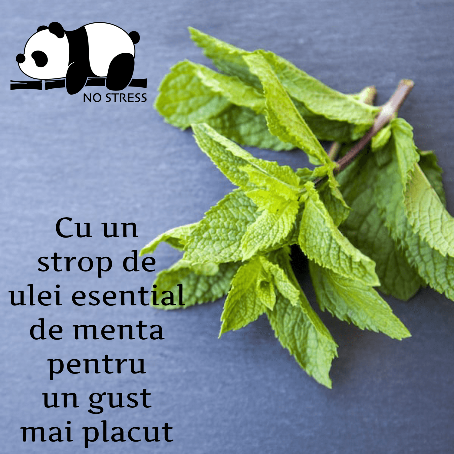 Ulei MCT , 10 ml, cu aroma menta, 22.2 % CBD No Stress fotografia produsului View 4 L