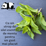 Ulei MCT , 10 ml, cu aroma de menta, 33.3 % CBD No Stress fotografia produsului View 2 S