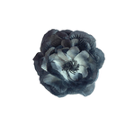 Trandafir 3D, Brosa, Statement, 3 in 1, Brosa/Clips par/Floare corsaj, Matase naturala, Floare, 15 cm, Gri/Argintiu fotografia produsului View 5 S