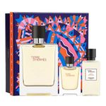 Apa de toaleta Hermes Terre D' Hermes, 100 ml, pentru barbati fotografia produsului
