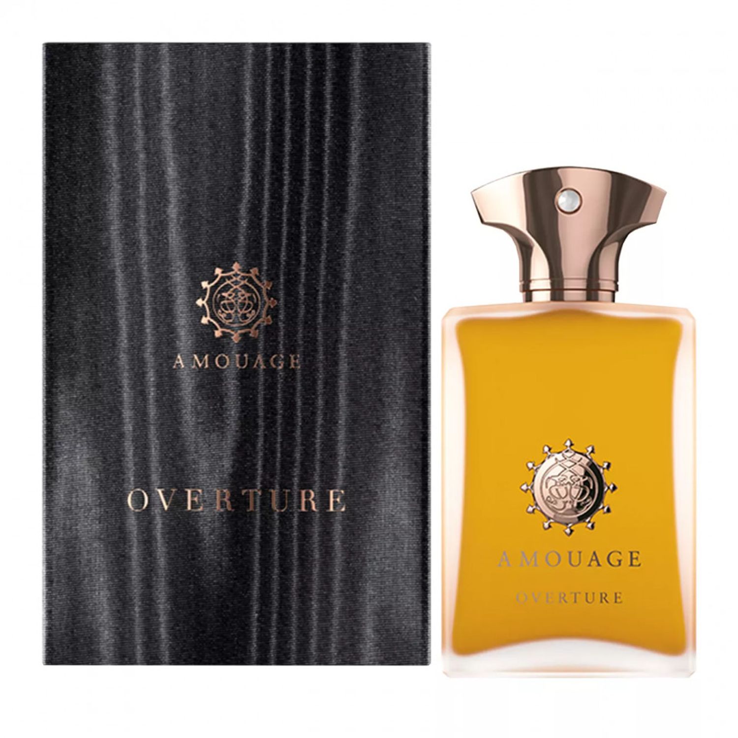 Amouage Overture, Barbati, Apa de Parfum 100 ml fotografia produsului