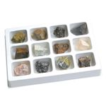 Kit paleontologie - Roci metamorfice fotografia produsului