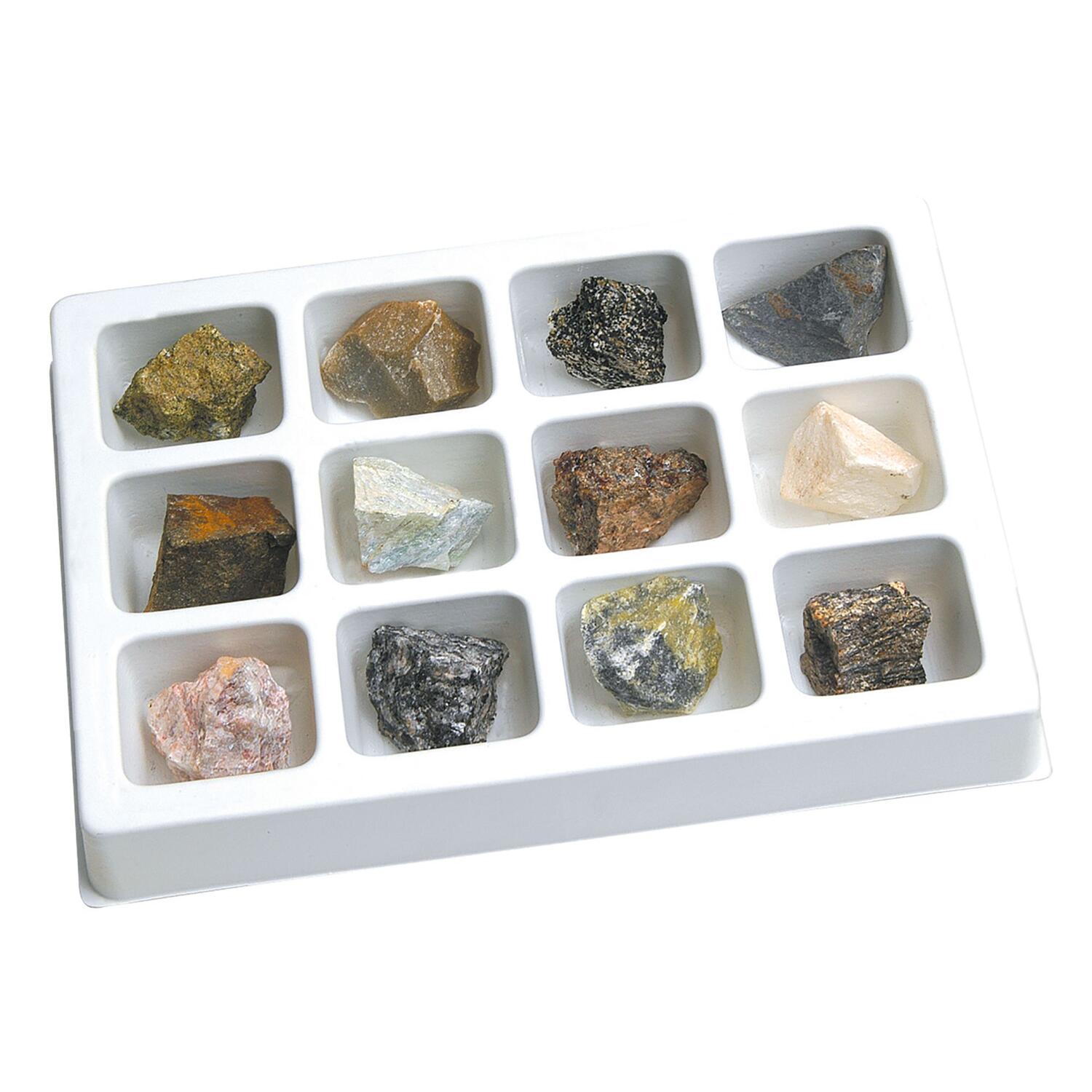 Kit paleontologie - Roci metamorfice fotografia produsului