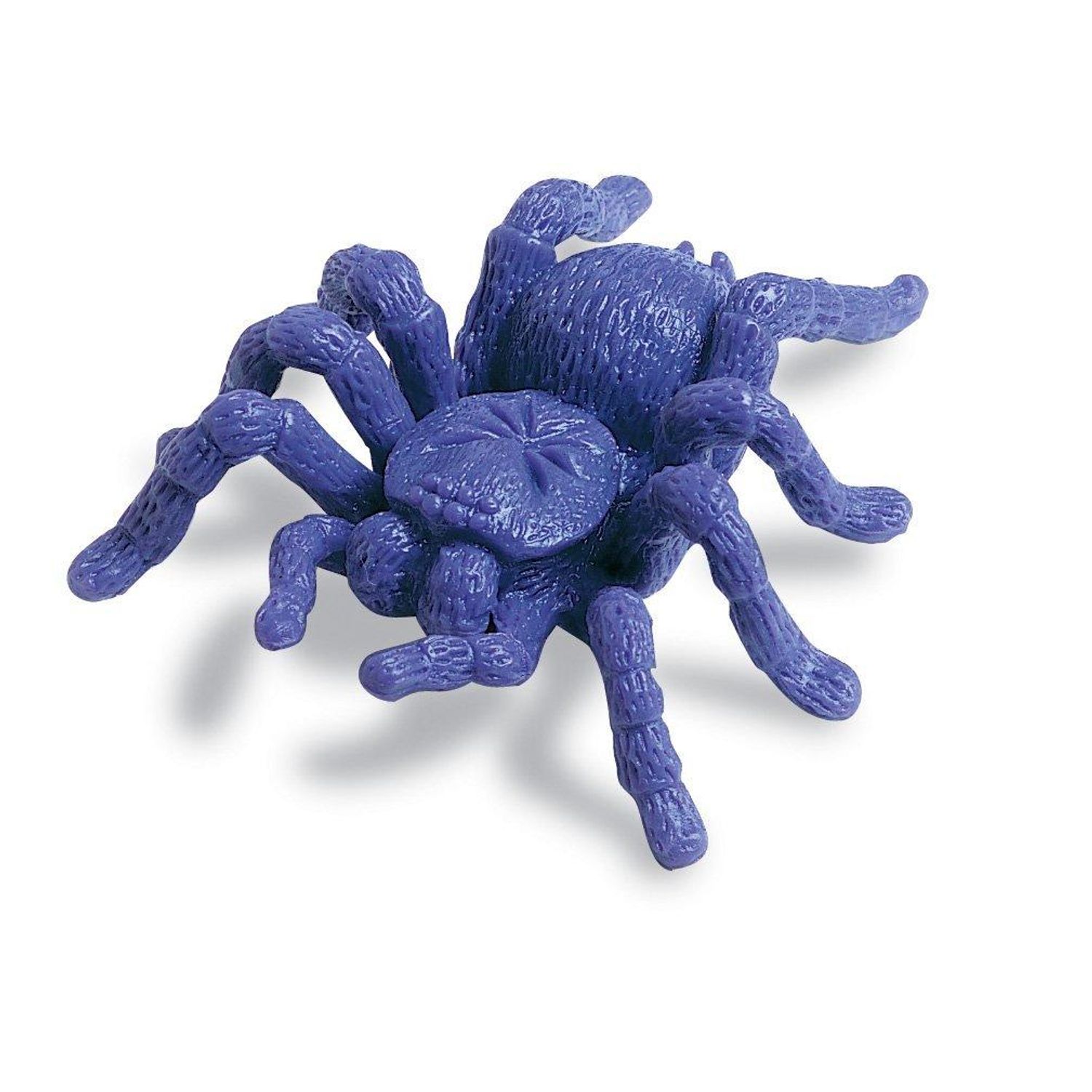 Insecte de gradina pentru numarat - set 72 buc fotografia produsului View 4 L
