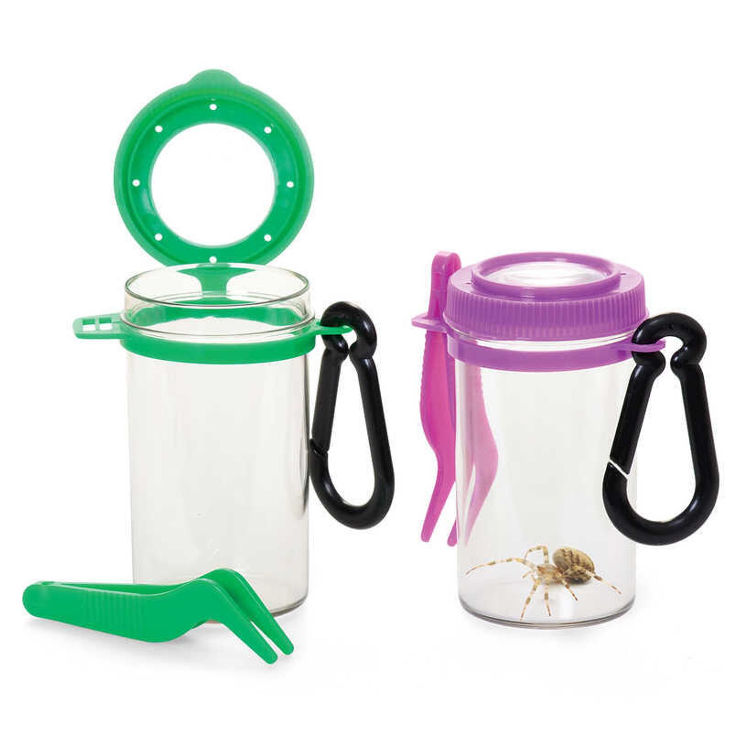 Observator insecte cu penseta fotografia produsului