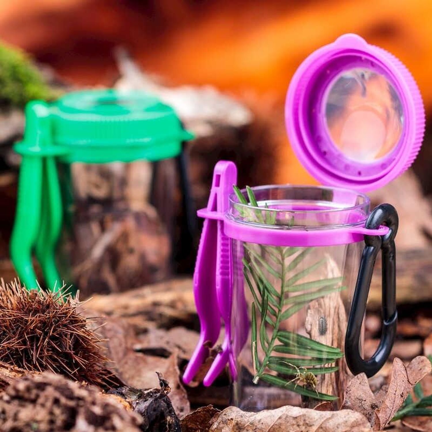 Observator insecte cu penseta fotografia produsului View 3 L