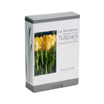Set tacamuri premium, 24 piese, Tulipani fotografia produsului View 8 S