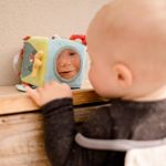 Cub din plus cu activitati - Dinozaur fotografia produsului View 5 S