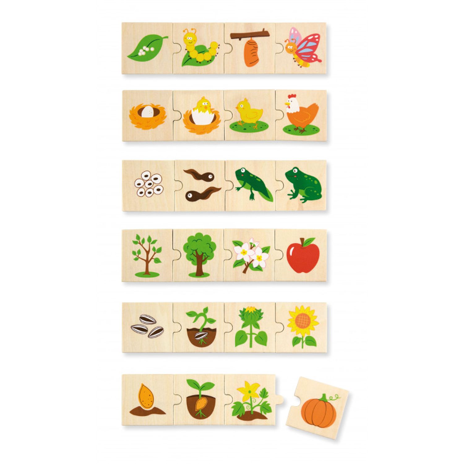Puzzle sortator - Evolutie, Viga fotografia produsului