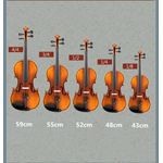 Vioara clasica din lemn 1/2 toc inclus + set corzi cadou fotografia produsului View 8 S
